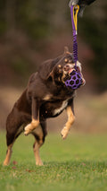 Zayma JW Pet Hol-EE Roller bungee med fårpäls