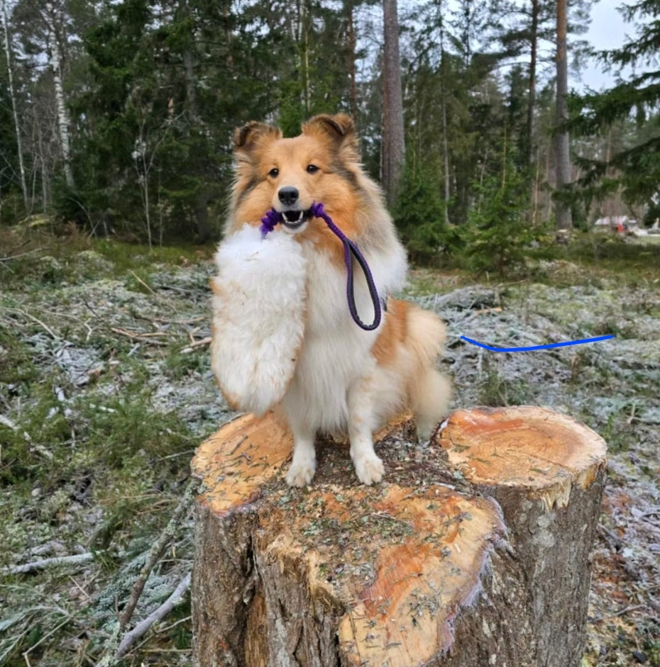 Kampleksak i mufflon fårpäls m expander